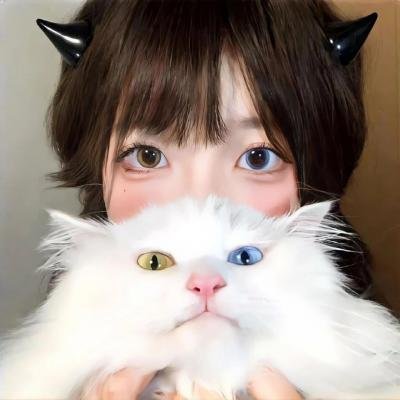 老友记第九季